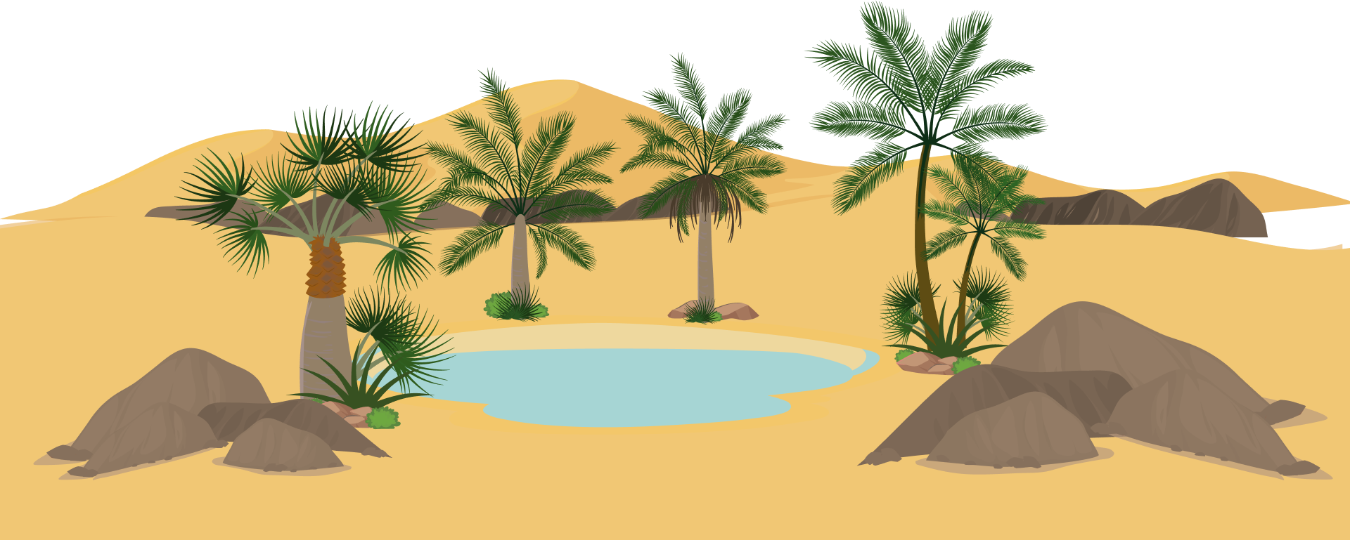 Desert Forest Daytime